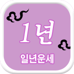 일년 운세